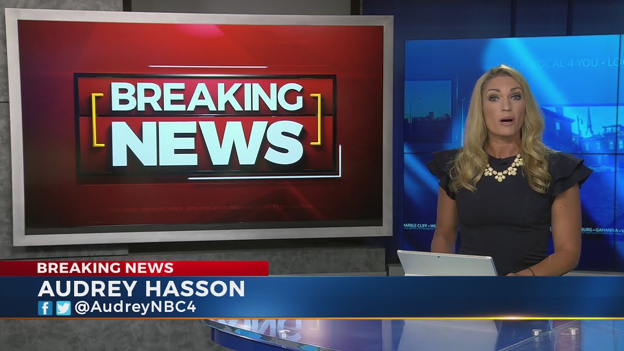 Police: Elderly woman killed inside Pickaway County home