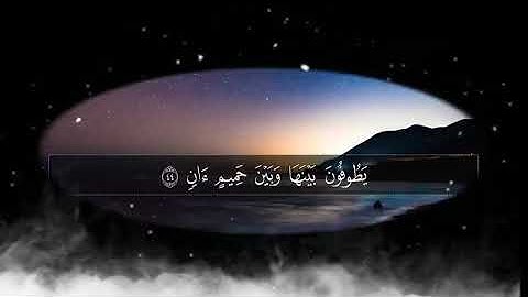 سورة الرحمن بصوت جميل جدا - راحة نفسية | القارئ فريجة Surah Ar-Rahman سعد