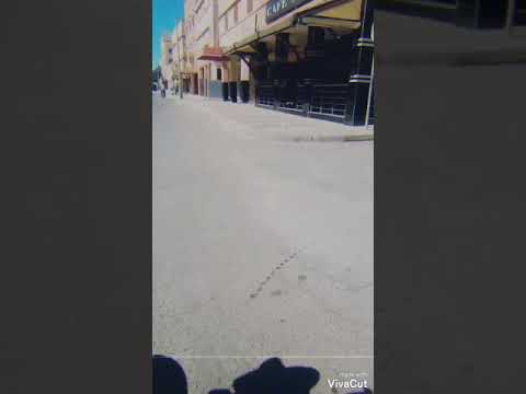 بيتي الخير البلادك بقا فدراك