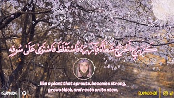 محمد رسول الله.. ما تيسر من سورة الفتح للقارئ حمزة الفار#محمد_رسول_الله
