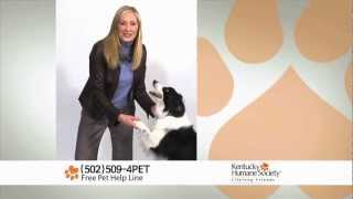 Kentucky Humane Society s Pet Help Line
