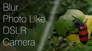 How to make simple photo like portrait mode of DSLR Camera in Photoshop tutorial . screenshot 5