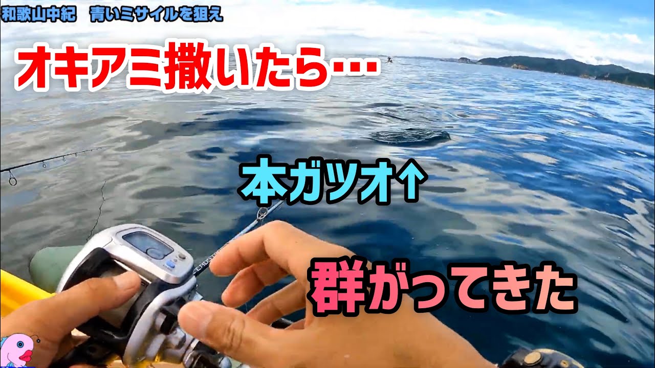 [2馬力ボート]今年は異常です。オキアミ撒いたら本ガツオが大群で襲ってきました。#和歌山 #完全フカセ  #カツオ