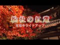 総社の紅葉　宝福寺ライトアップ