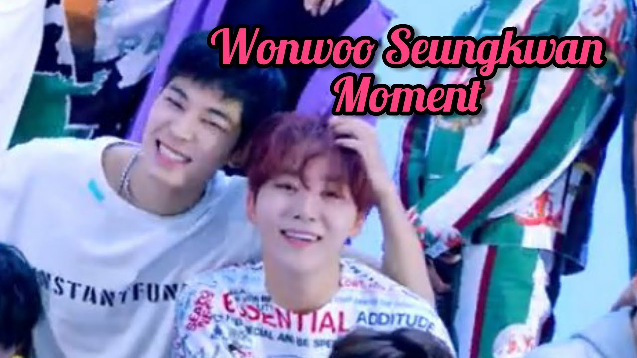 Wonwoo Seungkwan Moment