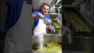 How To Make Olive Oil Inside The Factory