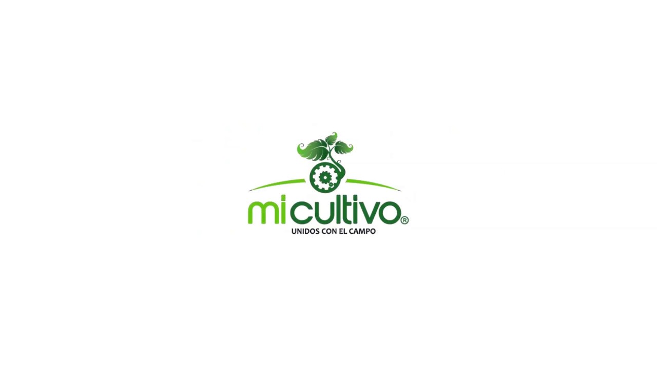 MI CULTIVO