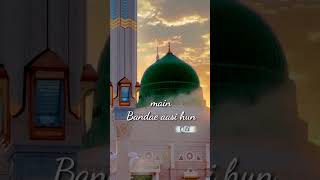 Teri Rahmat Ka Talabgar Hun Maula ? Mai Banda e Aasi Hun #shorts