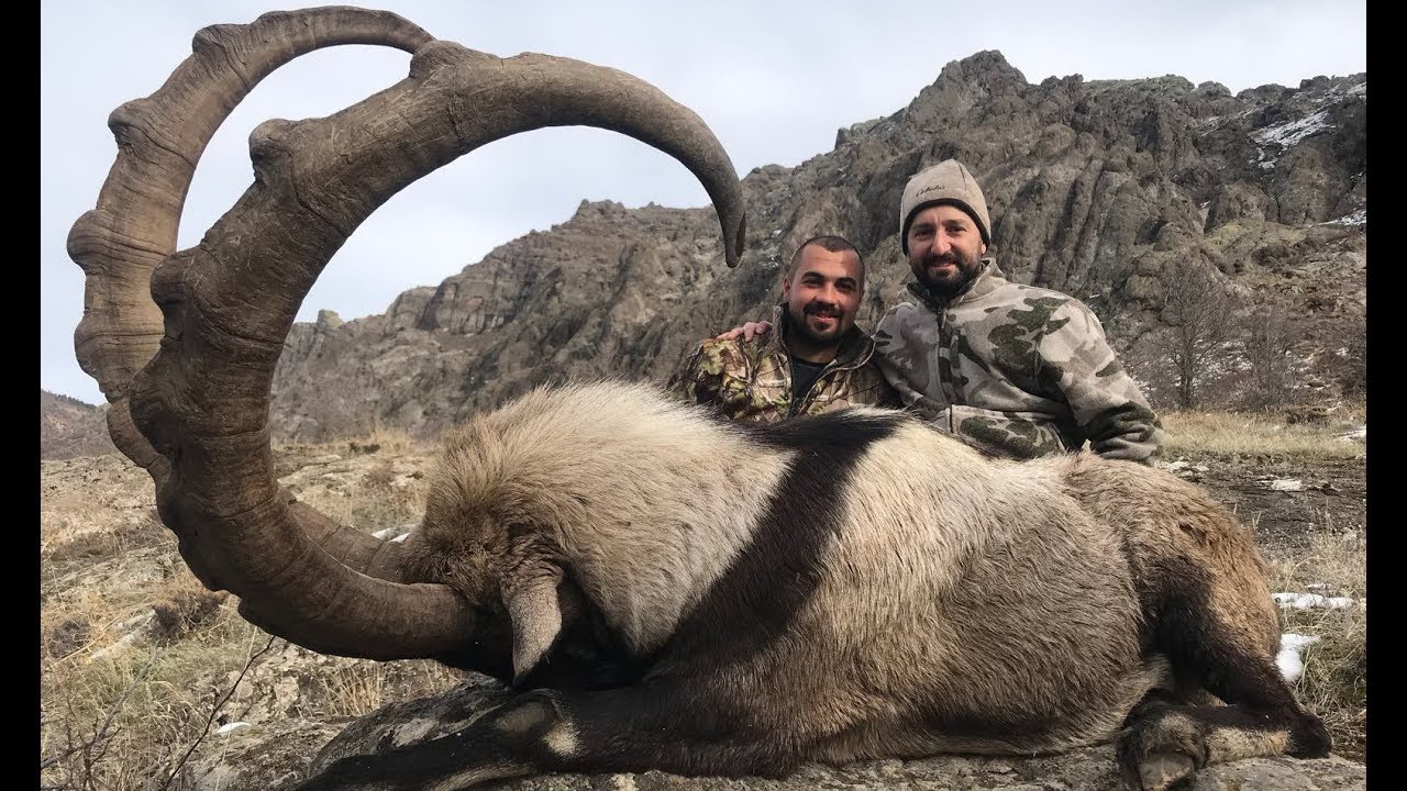 BEZOAR IBEX HUNTING Ilker Yaraman&Turkish Frontier Recep Ecer YouTube