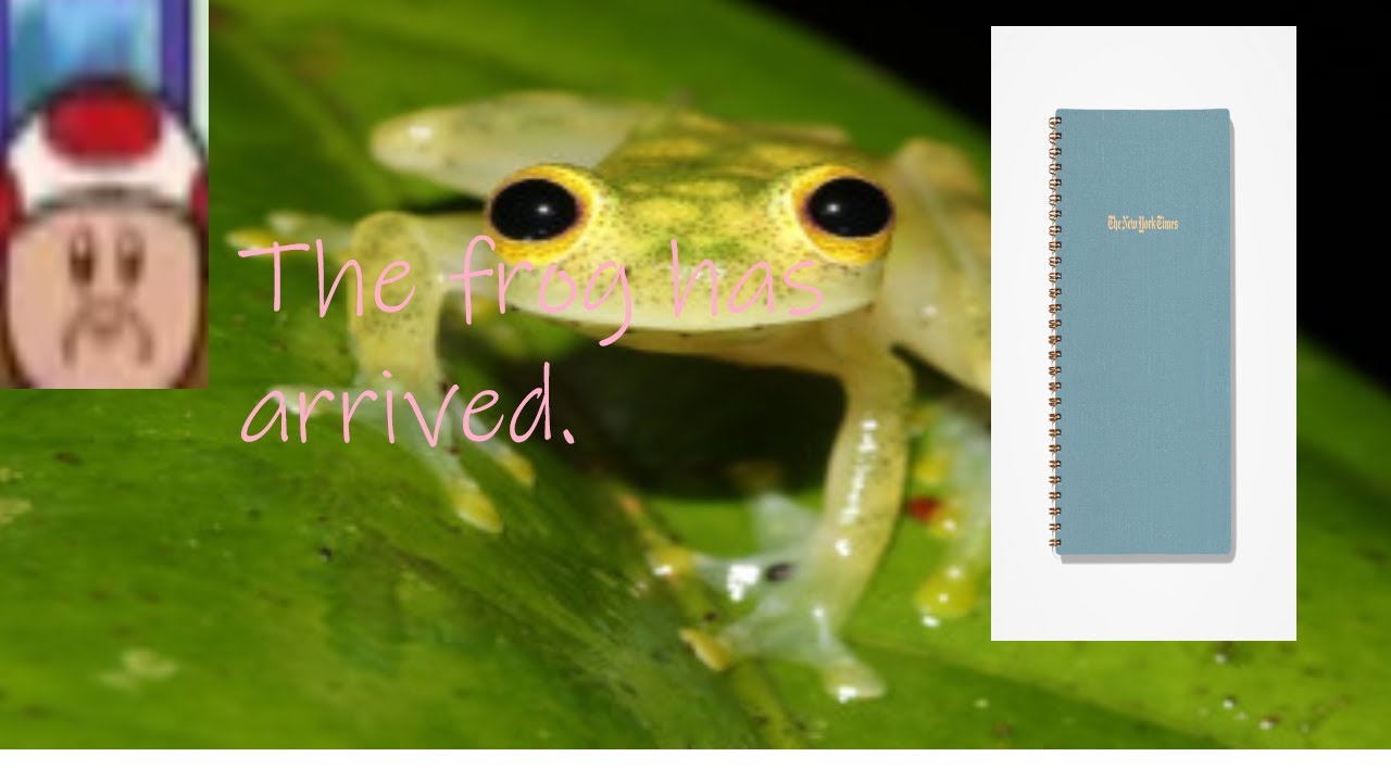 e3 trials by gs notebook from officemax - YouTube