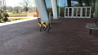 Demo gaits of Spot