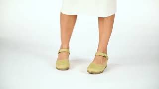 El Naturalista Descubre El Modelo N5850