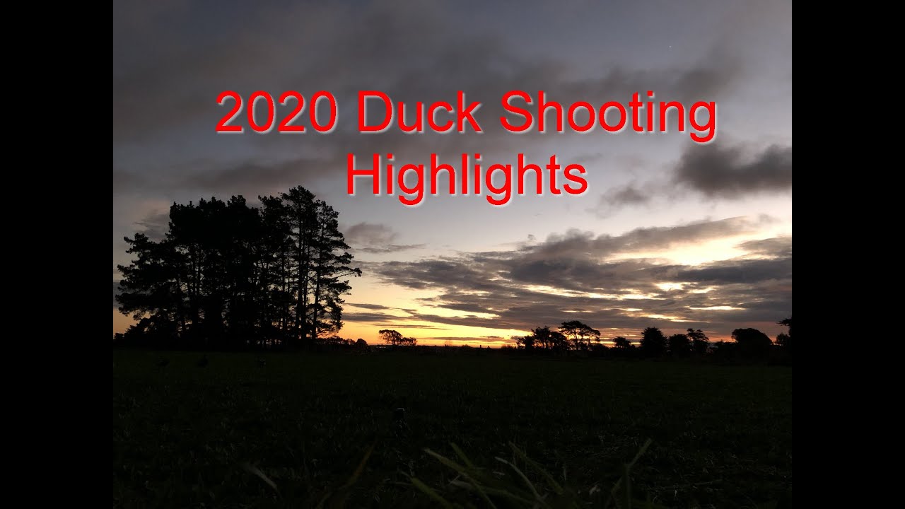 2020 Duck Season Highlights