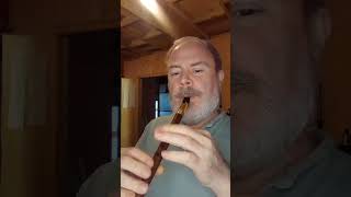 A Thornton hybrid whistle in D, with a rosewood body.