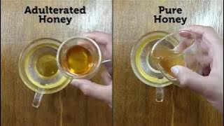 Download lagu Honey Purity Test - DIY | September 2020
