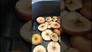 Air Fryer Elma Kurutma
