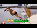 جديد فيديوهات الضحك هههههه      فيديوهات موت بالضحك    