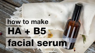 HOW TO Hyaluronic Acid Serum; ANTI AGING SERUM  Ι TaraLee