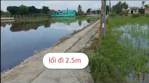 Bán nhà đất xã Phước Lợi huyện Bến Lức tỉnh Long An