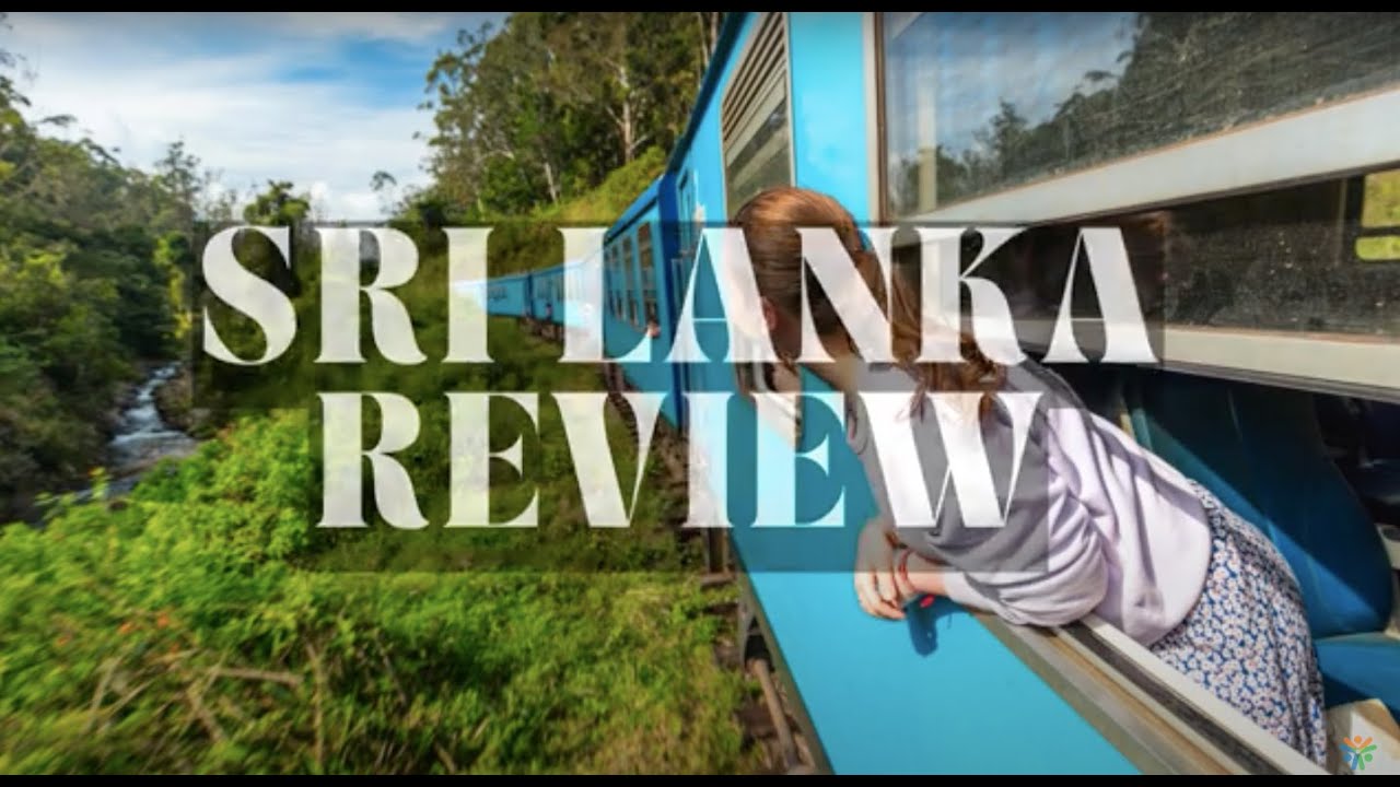 Sea Turtle Conservation Volunteer Sri Lanka Review | Volunteering Solutions