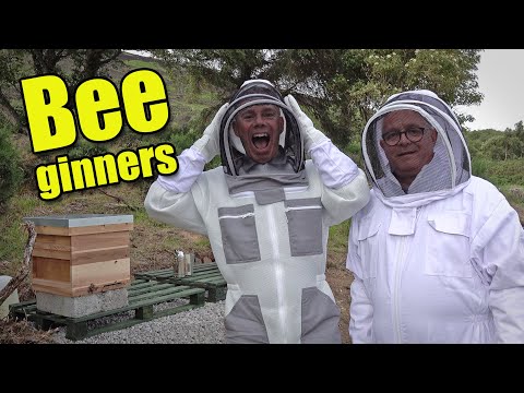 Beekeeping for Beginners - Our First Bees!