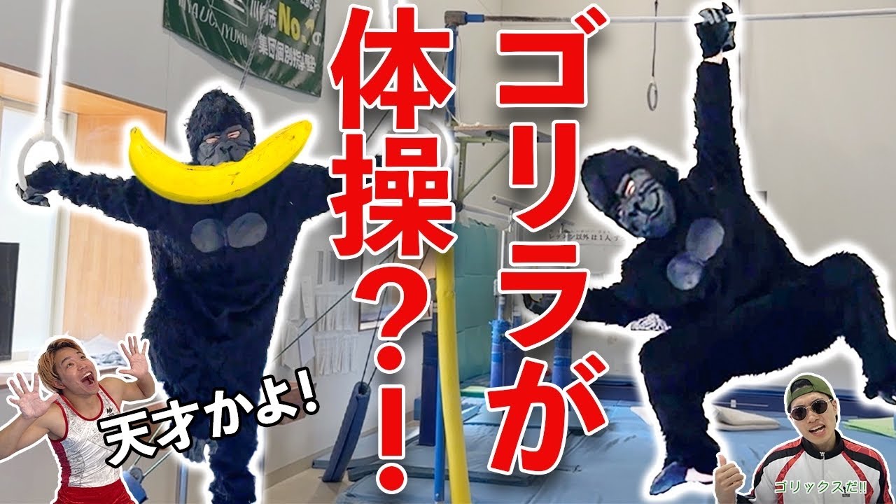 もしも天才ゴリラが体操選手だったら