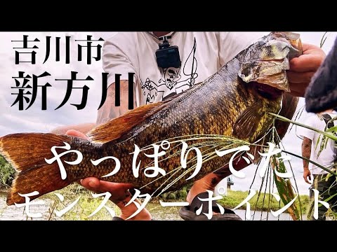 Bass Fishing] A thorough investigation of that legendary