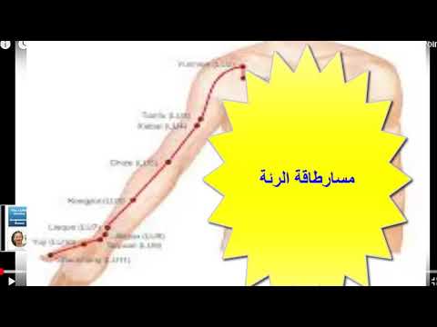 مسار الرئة lung miridians