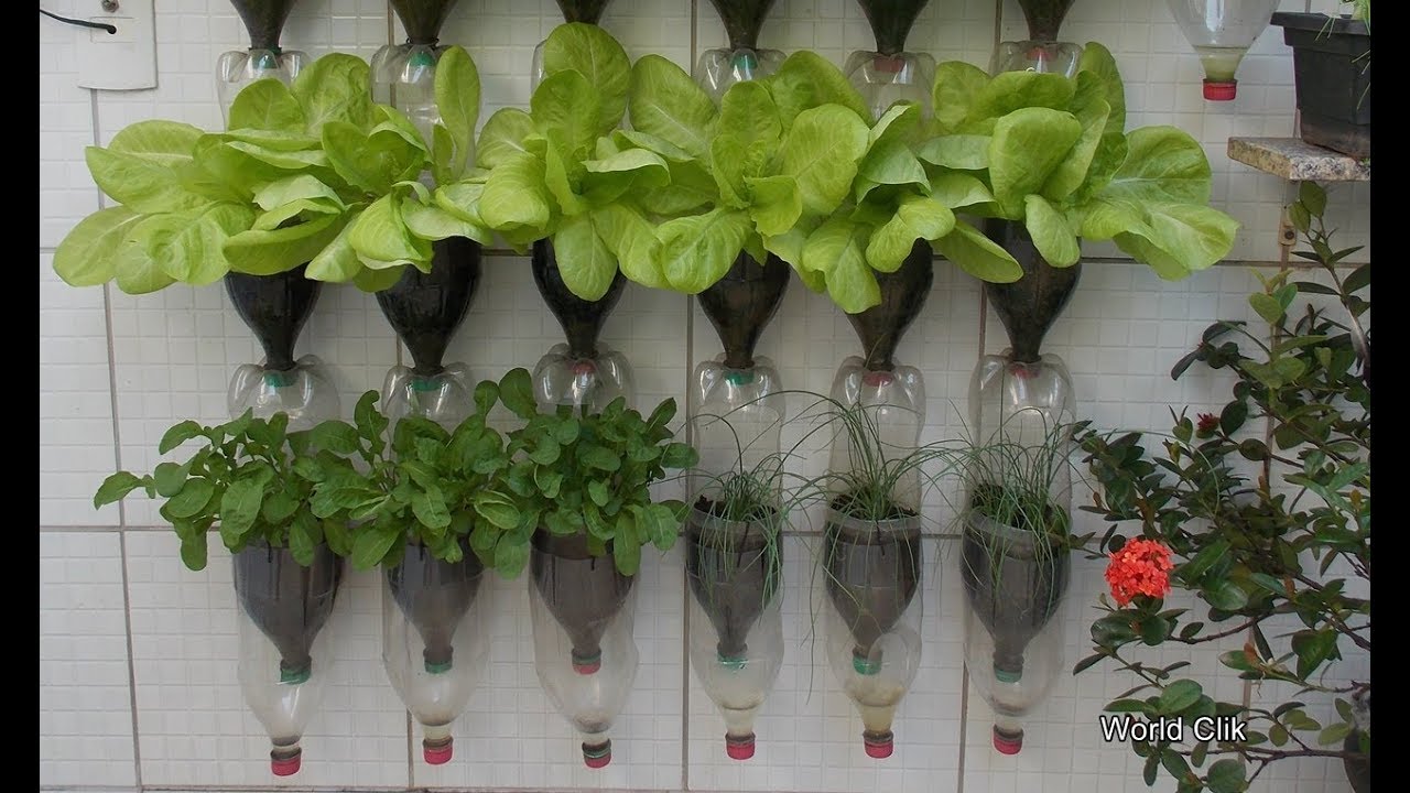 Resultado de imagem para horta vertical com garrafa pet