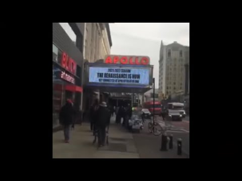 ნიუ იორკის ქუჩებში 8.  ,,ჰარლემი'' ,,ვილიჯი'' ,,სოხო'' ,,ლითლ იტალი'' ,,ჩაინა თაუნი'''