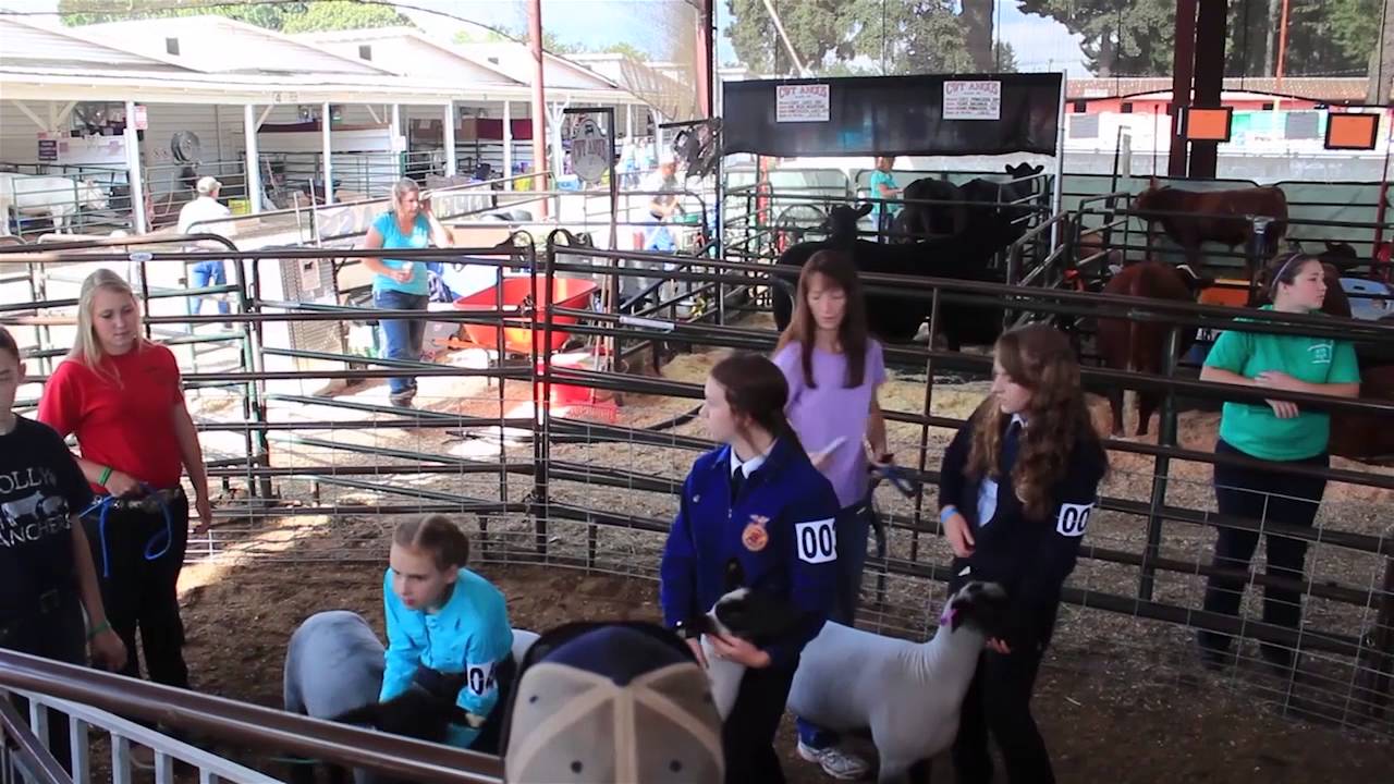 oregon dmv Clackamas County Rodeo and Fair: 4H Program