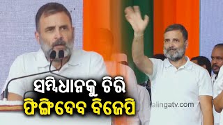 BJP will tear and throw away constituency, says Rahul Gandhi || KalingaTV