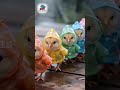 Cute Chickens in Raincoats! 🌧️ Tiny Outfits &amp; Rainy Day Fun  KidsStory #toys