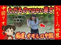 ㊗️10万再生!‼【厳選 オモシロ中国】中国の美女がエグすぎる!!美貌も筋力も桁違いww #オモシロ #中国の日常 #爆笑 #コント