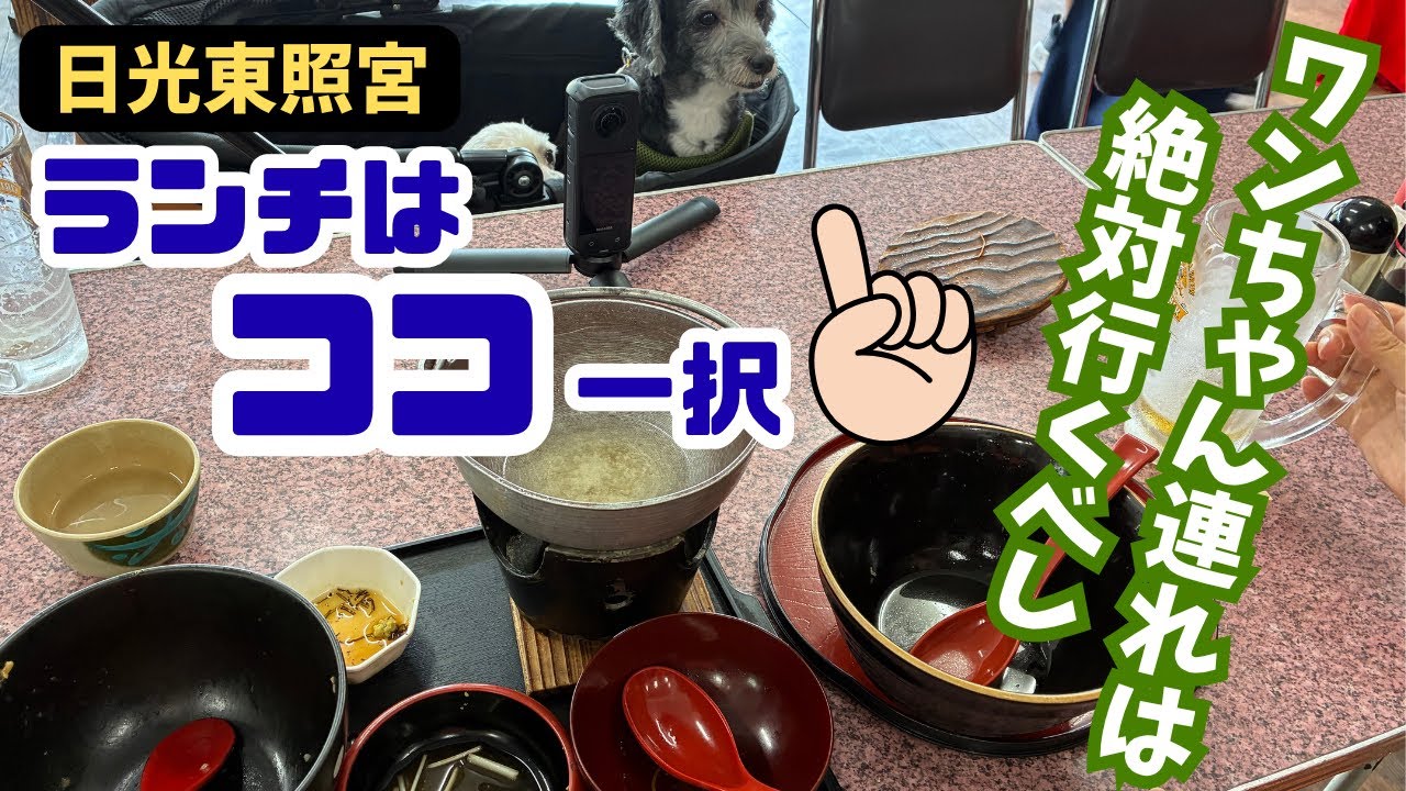 わんこ連れで『日光東照宮』に行ったら、絶対に後悔しないランチをご紹介！