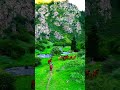Hawa keh rahi hai ghata keh rahi hai🇨🇭🌿#shorts#youtubeshorts#youtube#viral#explore#nature