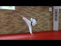15. HYONG - UL-JI - Taekwondo Form