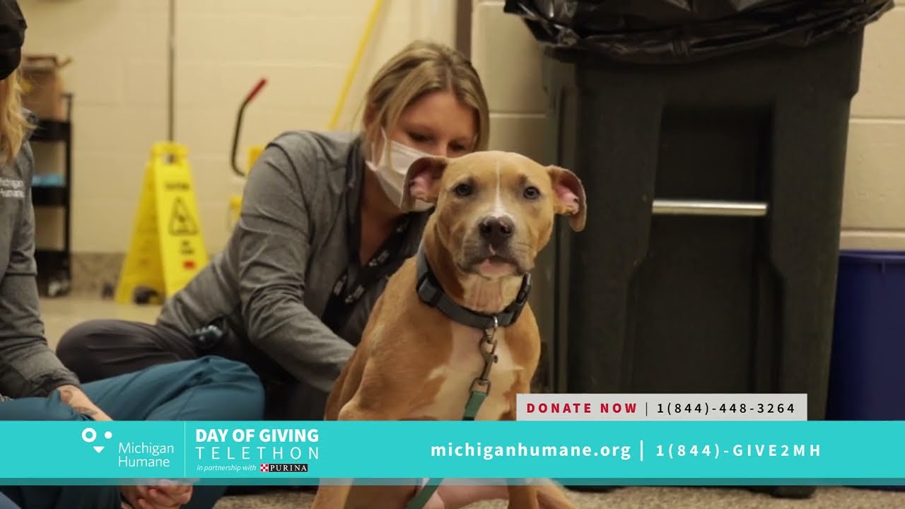 Michigan Humane Telethon 2022- Clark