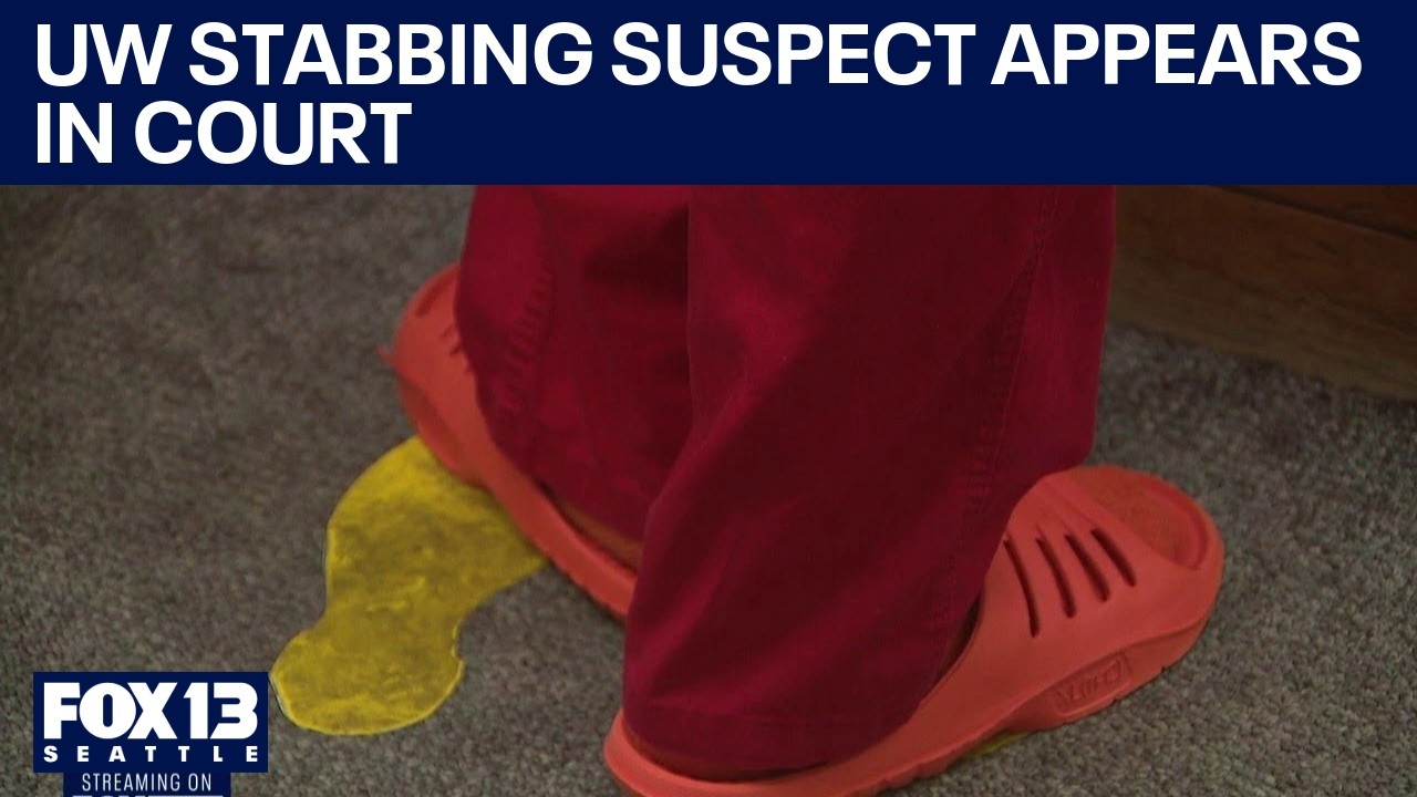 UW stabbing suspect makes first appearance in court | FOX 13 Seattle ...