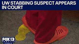 UW stabbing suspect makes first appearance in court | FOX 13 Seattle