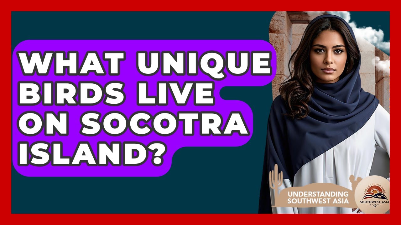 What Unique Birds Live On Socotra Island? - Understanding Southwest Asia