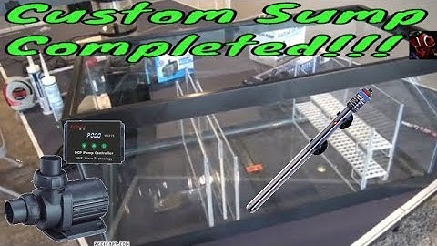 HOW TO Build a DIY Aquarium Sump