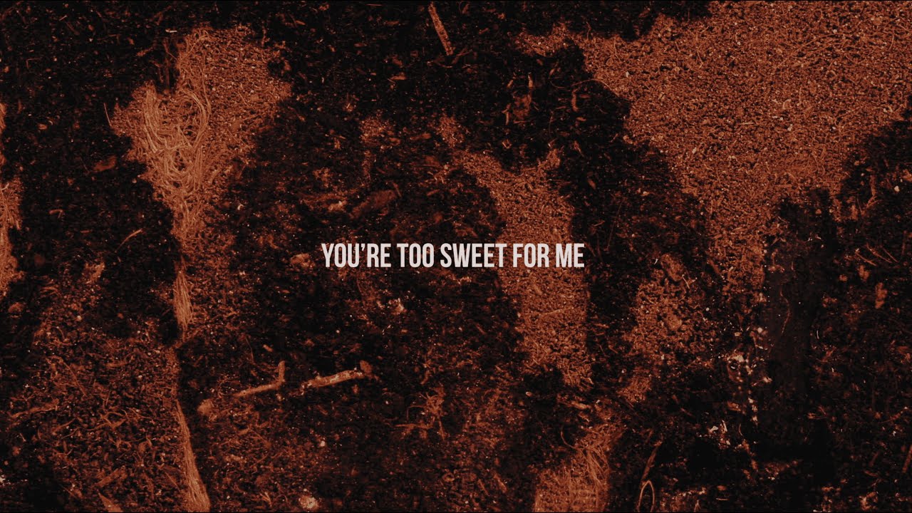 Hozier   Too Sweet Official Lyric Video