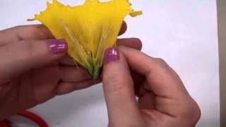 Flower Dissection