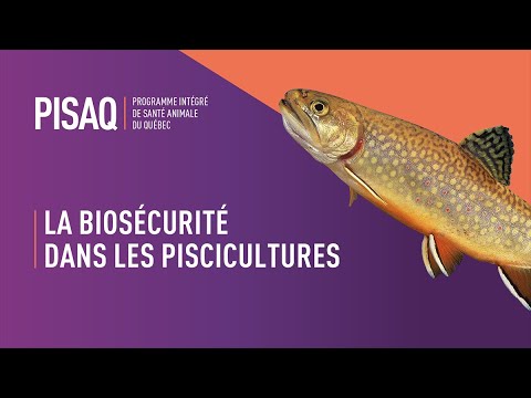 Vidéo: Moisissure bleue sur les plants d'épinards : en savoir plus sur les symptômes et le contrôle du mildiou des épinards