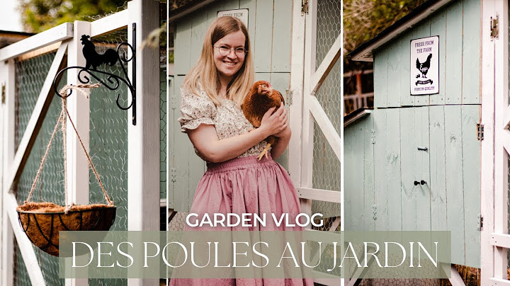 VLOG Slow Life | Construction d'un nouveau poulailler et accueil de poules