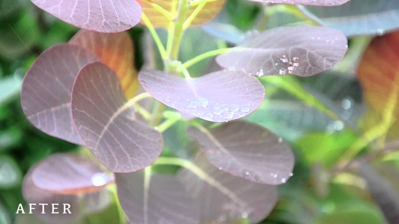 Adobe Premiere Pro CS6 - Color Correction & Color grading Test - YouTube