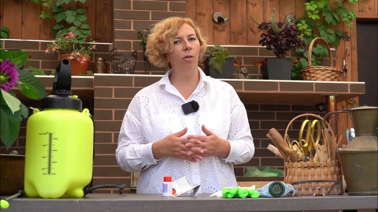 Хит осеннего сезона: Индиго + Карачар - YouTube