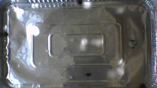 mud nassa diffusion experiment timelapse with and without barrier subjects 1-6