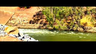 Soundscape - Grong Grong, NSW Australia | Weir | River | Sheep | Nature Ambience